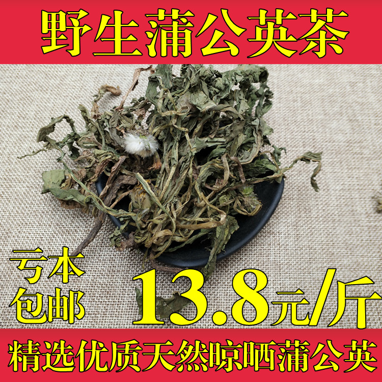 蒲公英特级纯天然新鲜婆婆丁包邮