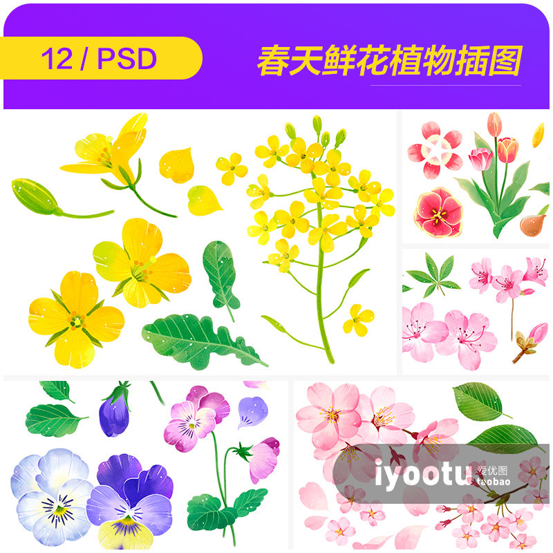 手绘春天樱花桃花油菜花鲜花植物插图海报psd分层设计素材2222403