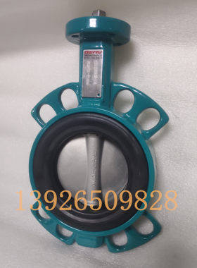 德国GEMU盖米480蝶阀 480 80W232A1NL 水处理对夹衬胶蝶阀现货