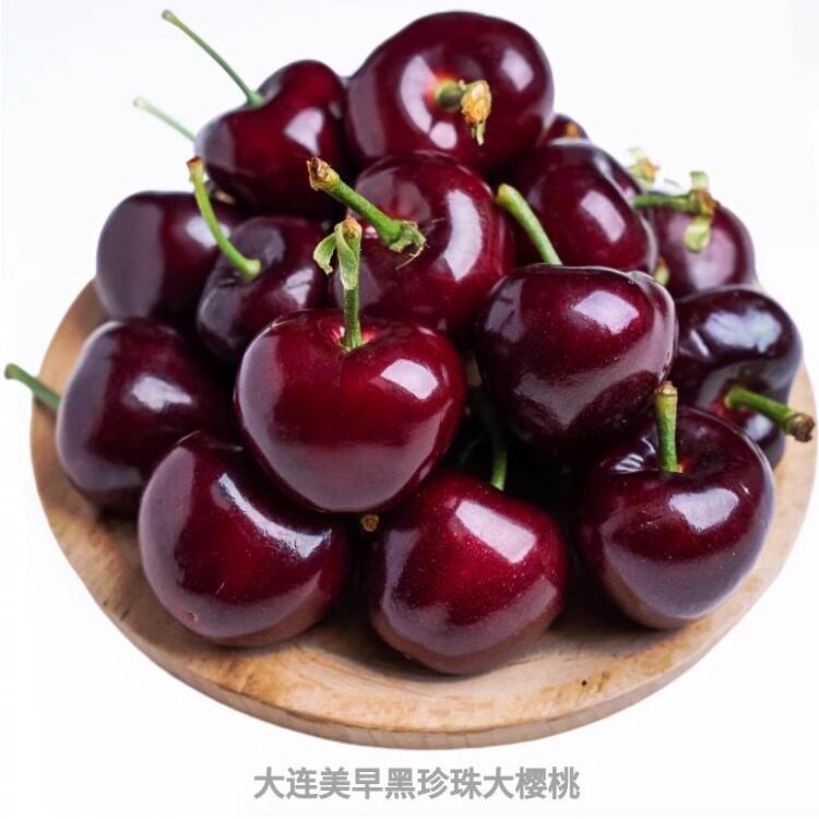 【特级果】大连美早大樱桃自家果园直发现摘现发脆甜多汁坏果包赔