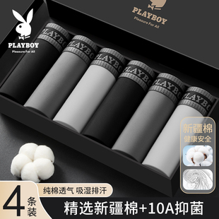 花花公子男士内裤纯棉男生10A抗菌四角短裤全棉平角裤衩2026新款