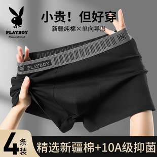 花花公子男士内裤纯棉男生2025新款四角短裤男款平角裤头抗菌透气