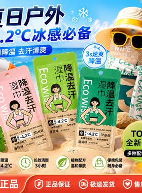 EcoWish冰感降温湿巾3s速爽