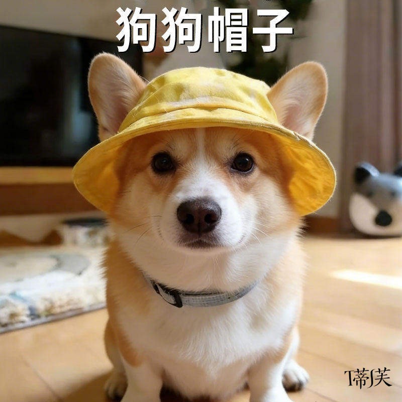 柯基帽子露耳朵新款渔夫遮阳专用狗狗夏季防晒遮阳头饰配饰宠物