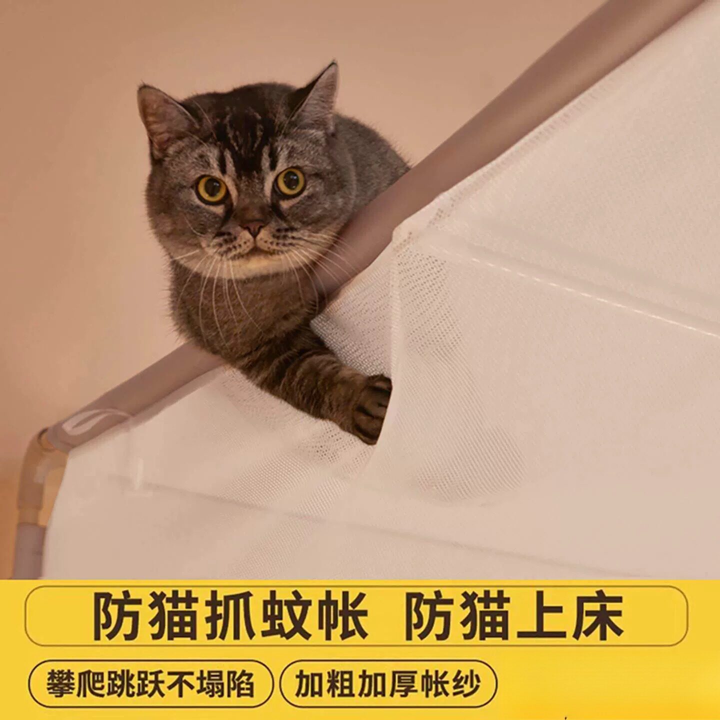 专用防猫抓蚊帐床罩帐篷床帘养猫咪家用卧室床幔床上防宠物结实