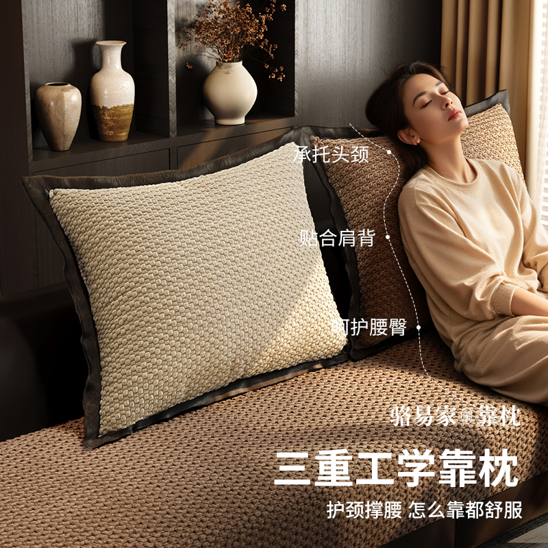 骆易家冬季抱枕沙发客厅轻奢靠枕