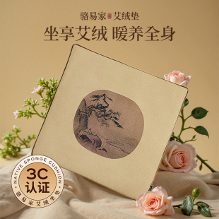 骆易家新款 2025女生专用艾灸垫电加热坐垫艾草去湿气热敷助眠养生