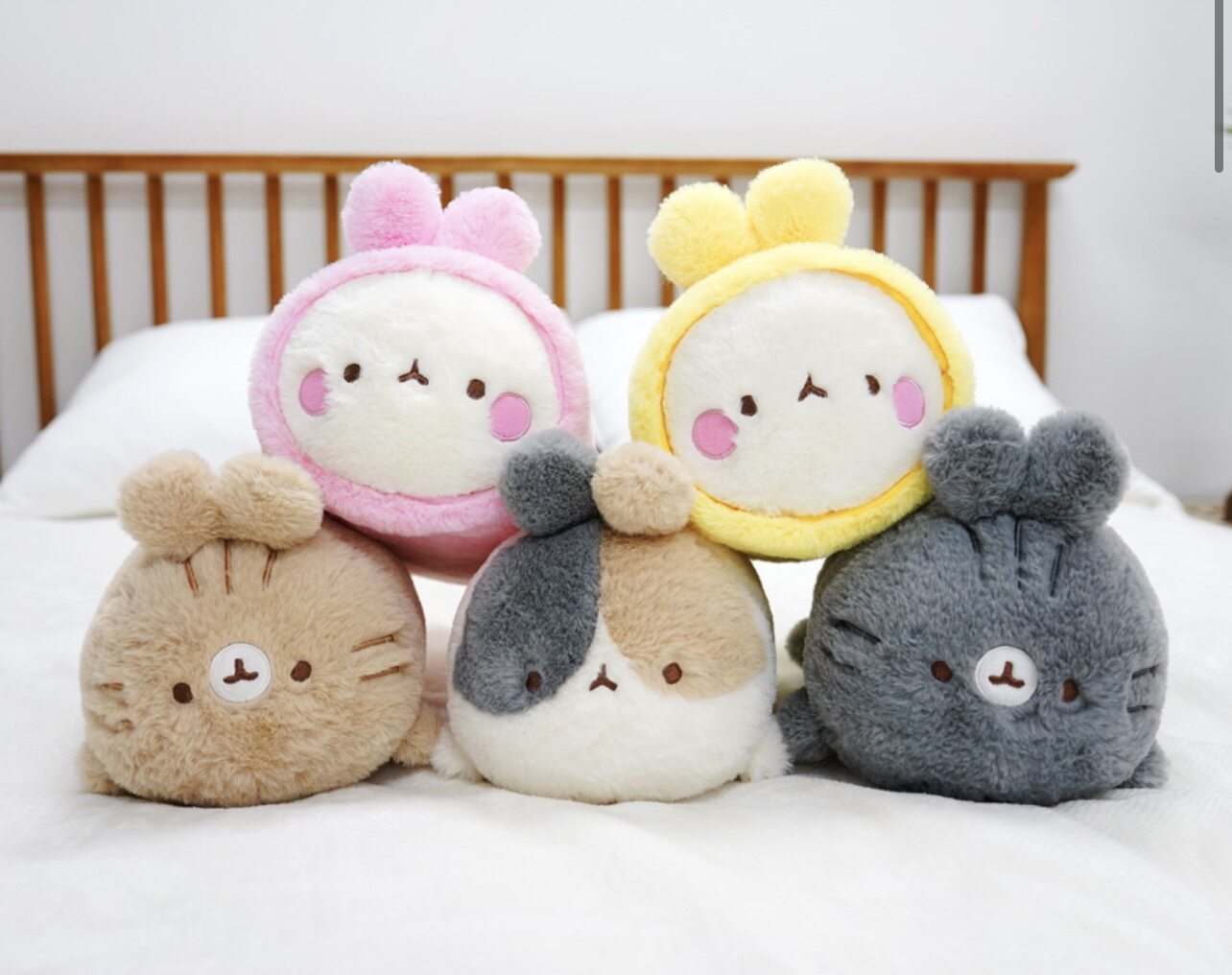 韩国代购 molang/土豆兔毛毛兔公仔抱枕玩偶可爱毛绒娃娃女生礼物