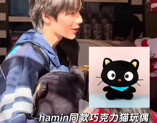 韩国正品Chococat hamin河民同款巧克力猫咪猫公仔布娃娃挂件
