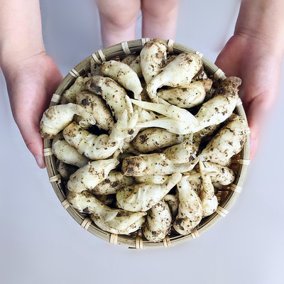 嫩姜芽仔姜嫩姜子姜嫩姜芽山东嫩姜芽新鲜嫩姜芽泡菜嫩姜小姜芽