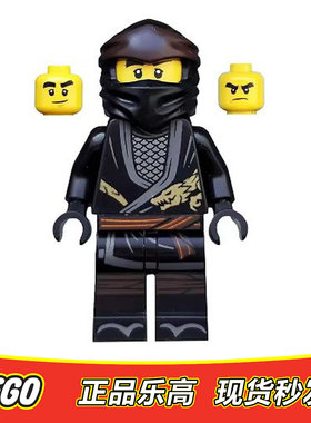 LEGO乐高 幻影忍者人仔第十季龙服寇 njo493全新正品112110 70665