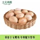 味道 虫喂养专利饲料配方蛋黄大小时候 60枚粉皮土元 鸡蛋鲜蛋土元