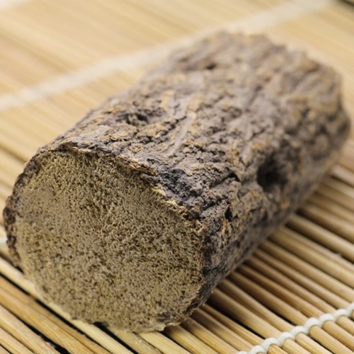 甲虫产木彩虹锹甲成虫产卵繁殖产房发酵木屑独角仙中大扁巨扁锹