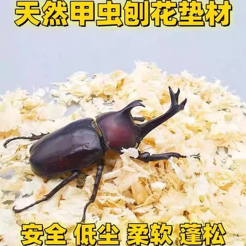 甲虫刨花垫材木屑阔叶木除臭刺猬兔子松鼠龙猫锯末垫材独角仙甲虫