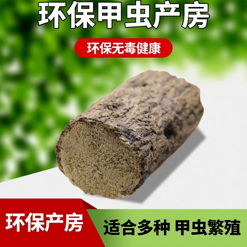 甲虫产木彩虹锹甲成虫产卵繁殖产房发酵木屑独角仙中大扁巨扁锹