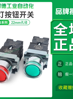 施耐德带灯开关按钮24v/220v金属自复位XB2BW31B1C自锁孔径22mm