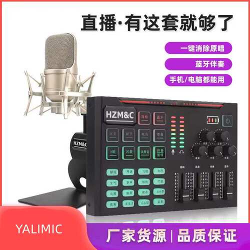 YALIMIC有心型指向麦克风/话筒