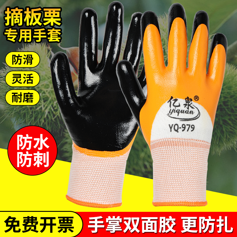 捡板栗专用手套防刺耐用摘板栗用