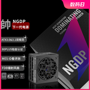 机箱电脑电源FDB电竞 首席玩家NGDP铂金1300W全模组ATX3.0&3.1台式