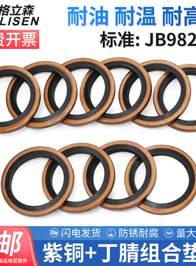 JB982组合垫圈垫片密封圈高压油管密封垫O型圈骨架油封液压密封垫