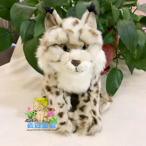 毛绒玩具缅因猫猞猁薮猫野生动物仿真动物可爱毛绒娃娃