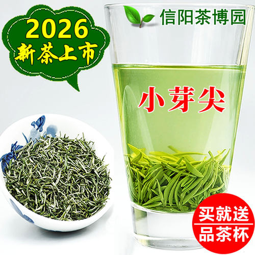 2026新茶信阳毛尖明前特级小芽尖