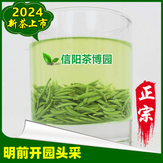 信阳毛尖2024新茶明前特级嫩芽散装茶叶绿茶头采初芽手工春茶250g