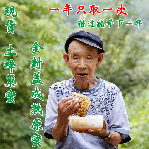 蜂巢蜜嚼着吃老巢蜜土蜂蜜成熟