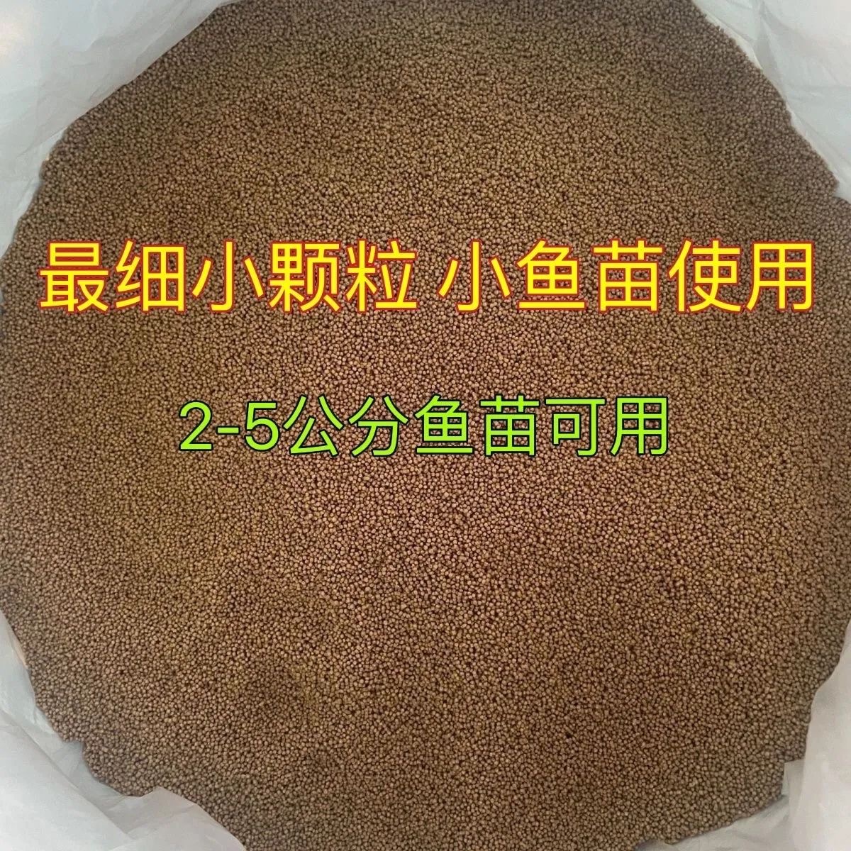 渔嘉天使鱼鱼食小型热带鱼