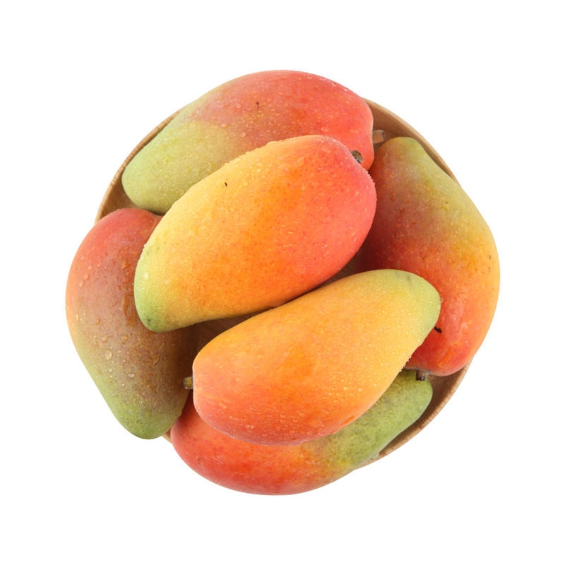 山姆代购海南三亚贵妃芒新鲜水果树上熟孕妇水果礼盒装树熟大芒果