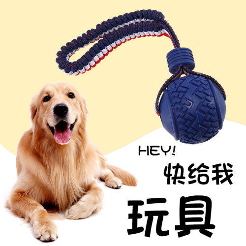 努派宠物智能玩具宠物轮胎球带