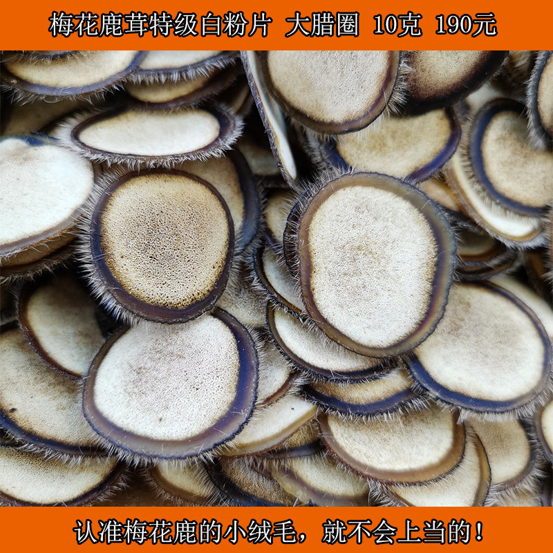 10克梅花鹿上段白粉片嫩香鹿茸片足干送礼自用泡酒煲汤顺丰包邮
