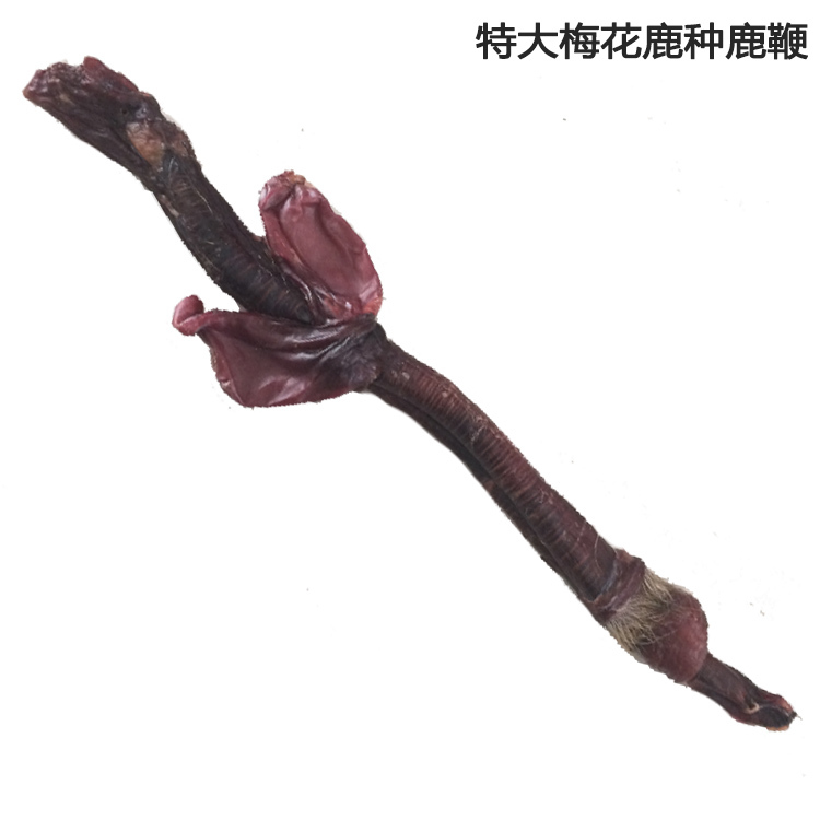 150克等级特大吉林梅花鹿鹿场种鹿梅花鹿鞭壮鹿肾泡酒炖汤料包邮