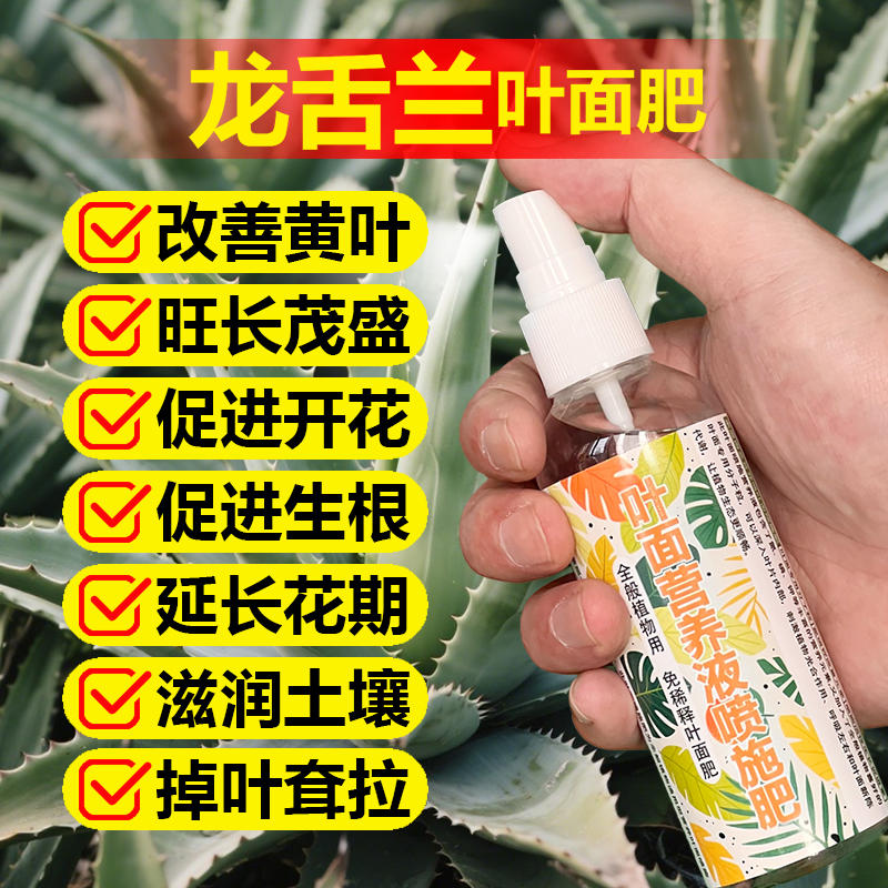 龙舌兰专用肥料盆栽植物土壤营养液黑腐烂枯萎黄锈斑焦尖叶面肥料