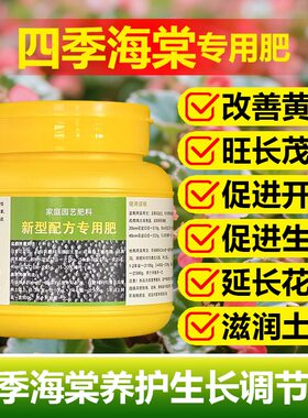 四季海棠花专用肥料土营养液焦边卷边掉光发黄边缘焦枯萎叶面肥料