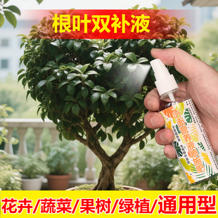 植物专用肥料盆栽营养液叶焦边干枯叶斑尖枯黄叶子下垂叶面肥料