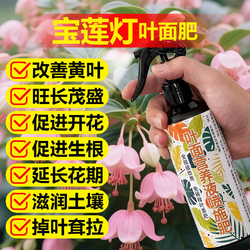 宝莲灯专用肥料花苗盆栽宝莲灯花肥土养护营养液叶面肥氮磷钾肥料