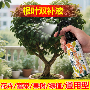 植物专用肥料盆栽营养液叶焦边干枯叶斑尖枯黄叶子下垂叶面肥料