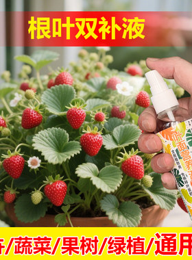 植物专用肥料枇杷果树营养液开花保花保果结果挫果增产增收肥料