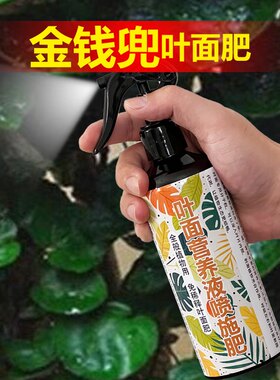 金钱兜专肥料种植盆栽植物营养液土培有机肥颗粒缓释肥水溶化肥料