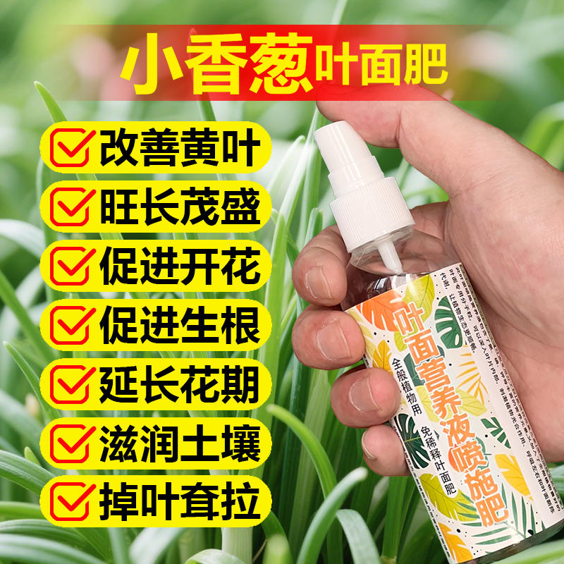 小香葱专用肥料盆栽地栽土培种植育苗营养液颗粒有机肥喷叶面肥料