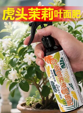 虎头茉莉专用肥肥料茉莉花叶子发黄干枯萎掉叶片卷曲打蔫用营养液