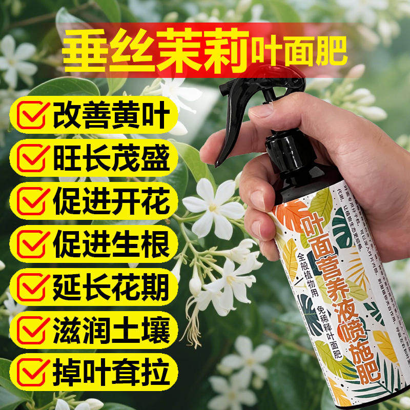 垂丝茉莉专用肥料爬藤盆栽风车茉莉花肥年宵花土壤营养液叶面肥料