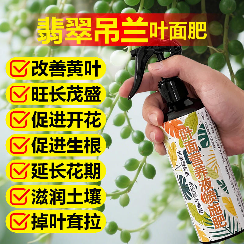 翡翠吊兰专用肥料花盆栽钻石金边专用土营养液叶面肥肥水溶化肥料