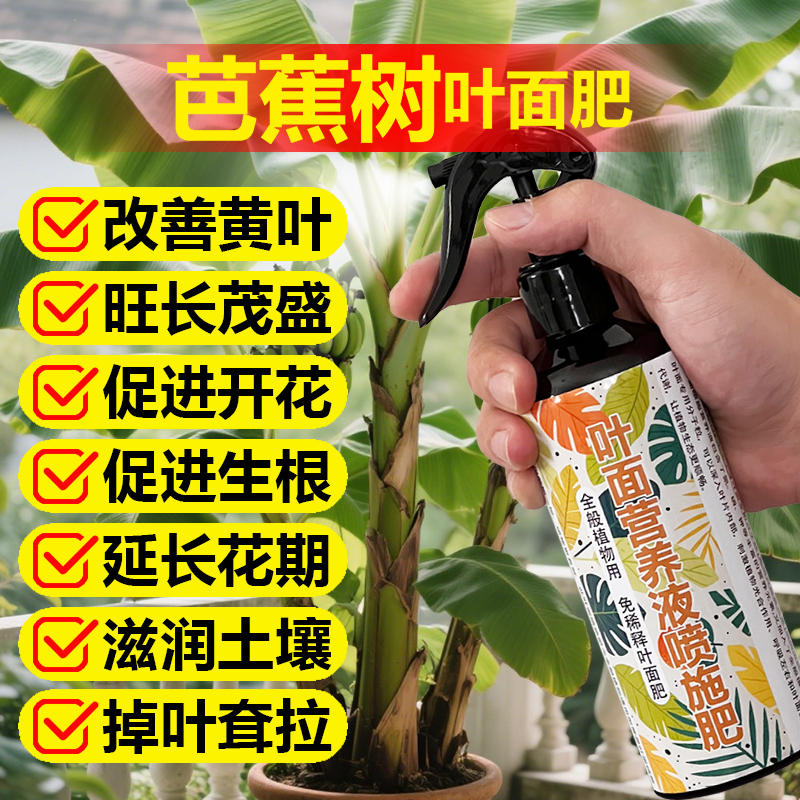 芭蕉专用肥料盆栽绿植庭院种植芭蕉树苗花肥营养液土培水溶化肥料