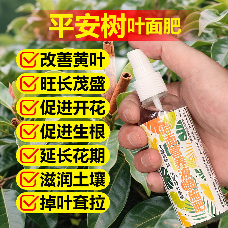 平安树专用肥料树苗种植盆栽养殖土壤绿植营养液叶面肥水溶化肥料