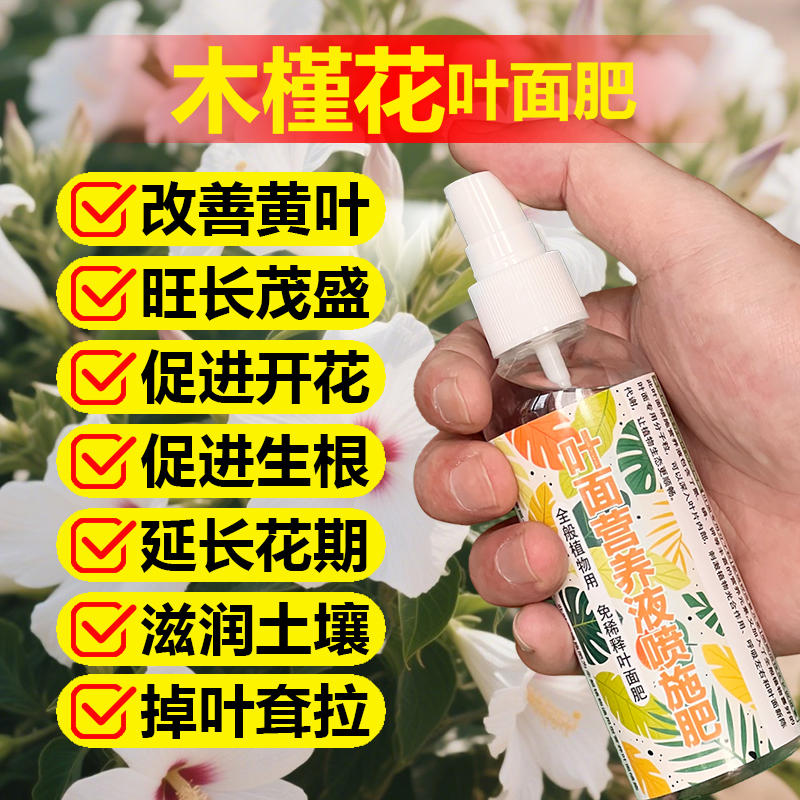木槿花树苗专用肥料盆景植物盆栽庭院种植花卉营养液土壤颗粒肥料