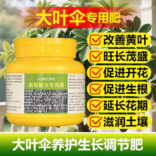 大叶伞专用肥料养殖绿植物营养液旺长茂盛促使发芽长新枝叶面肥料