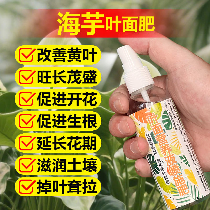 海芋专用营养液绿天鹅绒白犀牛大仙女萨利安龙鳞花盆栽叶面肥肥料