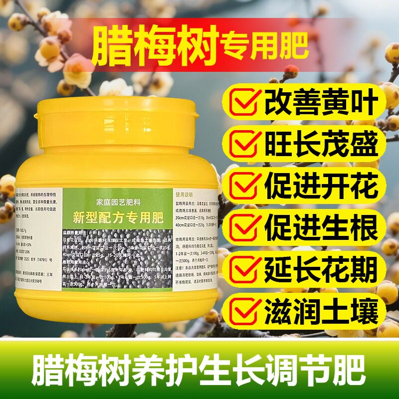 腊梅树专用肥料专用土培水培盆栽腊梅花树苗养护营养液叶面肥肥料